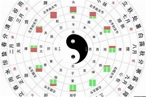 八字怎么看|怎么看自己的八字属性？